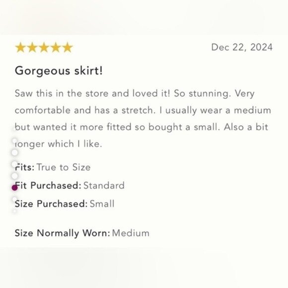 NWT Size XL - By Anthropologie Sequin Lace Midi Skirt - Picture 12 of 16